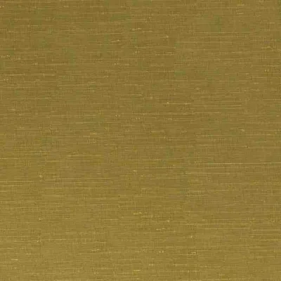 SARI WILLOW thumbnail 3