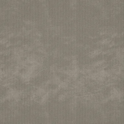 CANAS ACACIA thumbnail 3