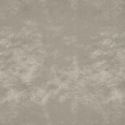 CANAS IVORY thumbnail 3