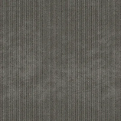 CANAS LEAD thumbnail 3