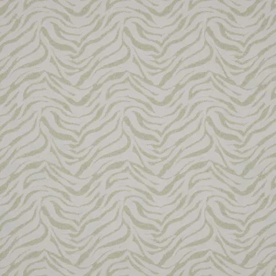 CEBRA IVORY thumbnail 2