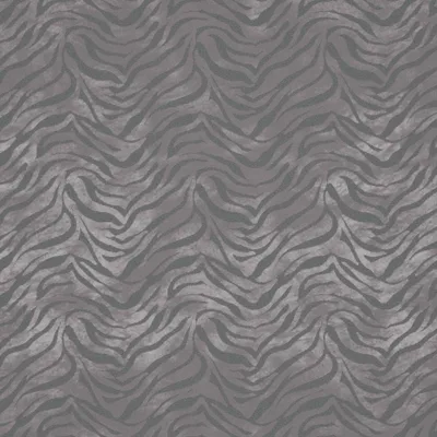 CEBRA MINK thumbnail 3