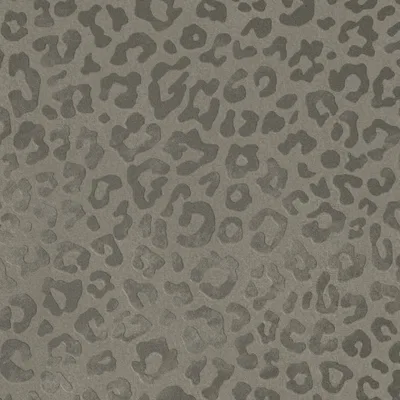 JAGUAR IRON thumbnail 5