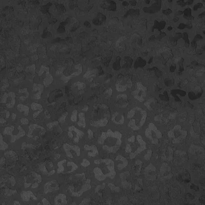 JAGUAR ONYX thumbnail 3