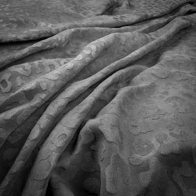 JAGUAR ZINC thumbnail 2