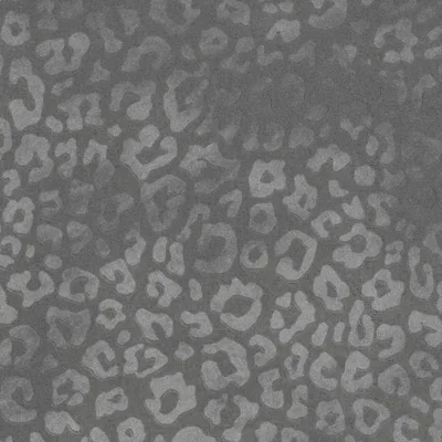 JAGUAR ZINC thumbnail 3