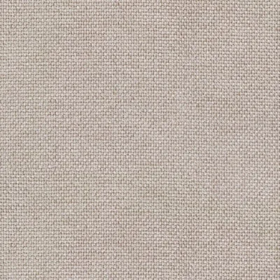 WACCA BONE thumbnail 3