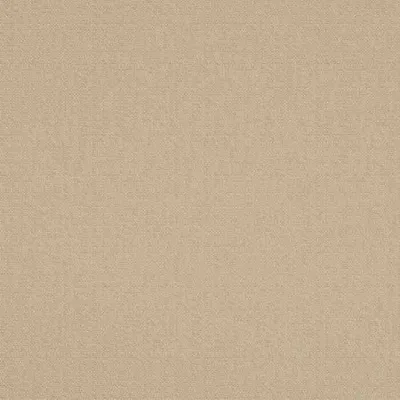 SCRIBBLE CHAMPAGNE thumbnail 3