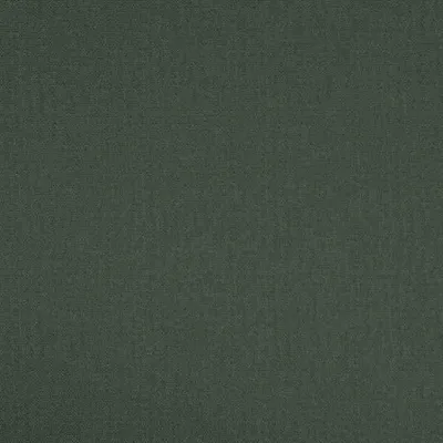 SCRIBBLE CONIFER thumbnail 3