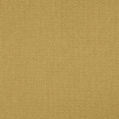 SCRIBBLE MARIGOLD thumbnail 3