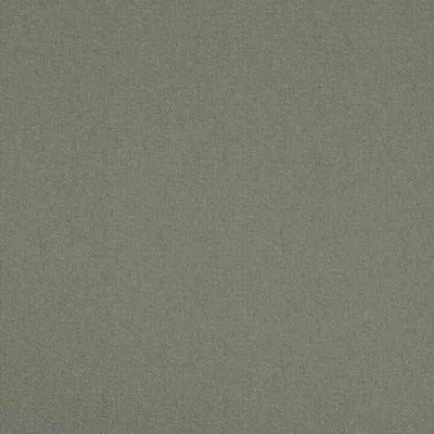 SCRIBBLE SAGE thumbnail 3