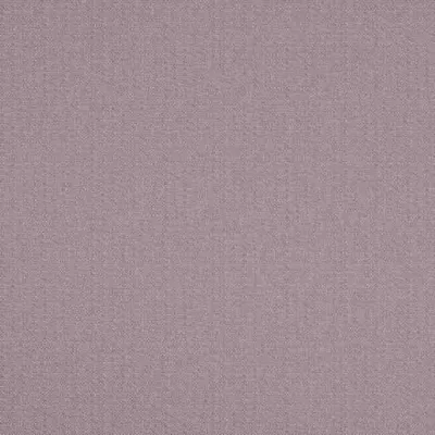 SCRIBBLE WISTERIA thumbnail 3