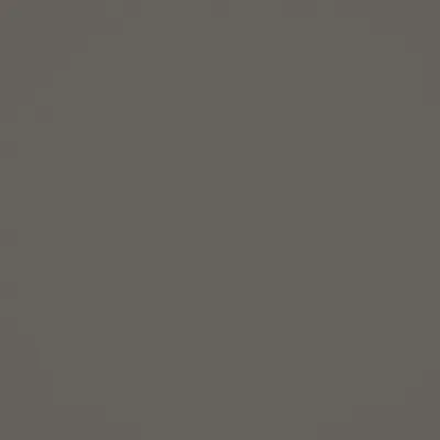 SERENA BAYLEAF thumbnail 3