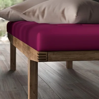 SERENA CARDINAL thumbnail 5