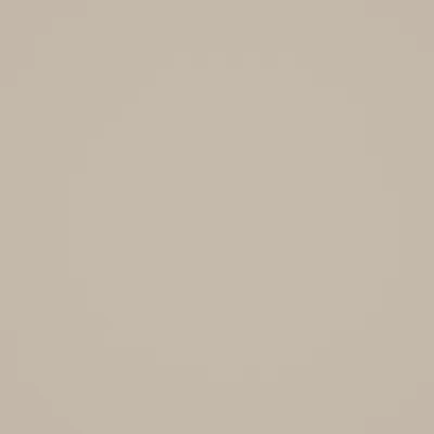 SERENA CHAMPAGNE thumbnail 3