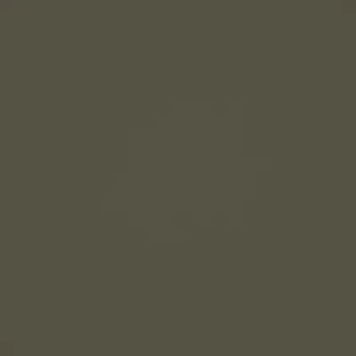 SERENA CONIFER thumbnail 3