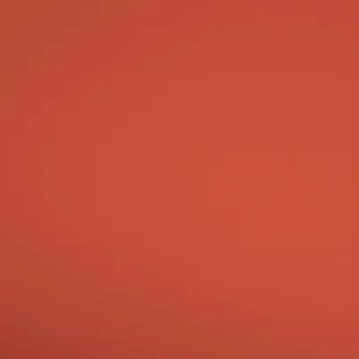 SERENA TANDOORI thumbnail 3