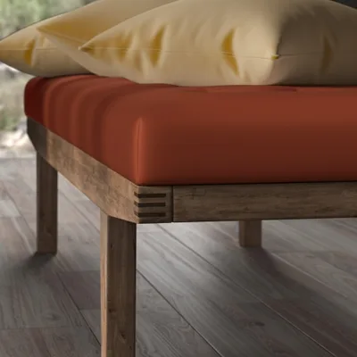 SERENA TANDOORI thumbnail 5