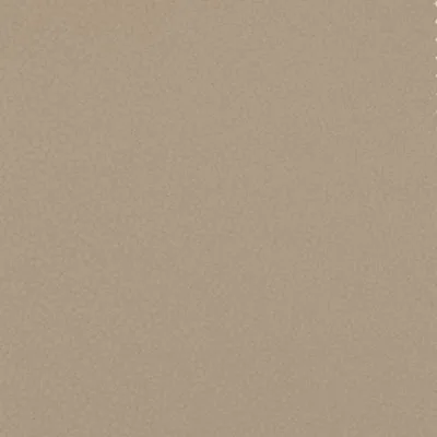 SHAGREEN BUCK thumbnail 2