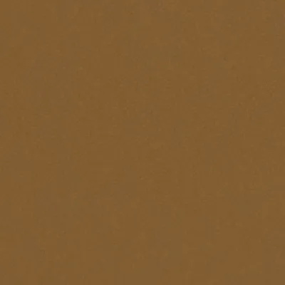 SHAGREEN CAMEL thumbnail 2