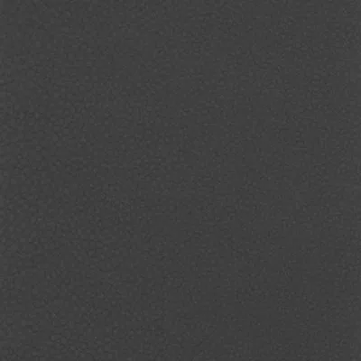 SHAGREEN CARBON thumbnail 2