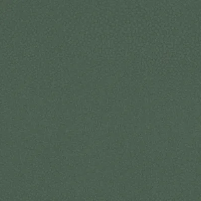 SHAGREEN EVERGREEN swatch