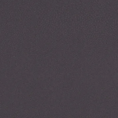 SHAGREEN HIPPO swatch