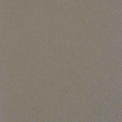 SHAGREEN TAUPE — SHAGREEN swatch, view 1