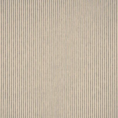 SHOREHAM GULL thumbnail 3