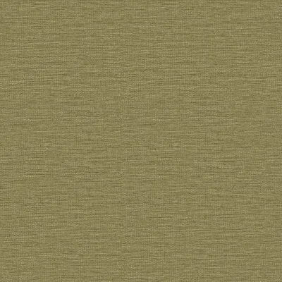 SKETCH OLIVE thumbnail 3