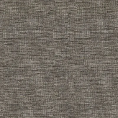 SKETCH THUNDER thumbnail 3