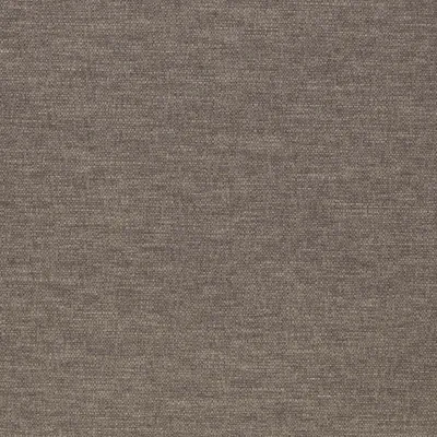 Slite Lichen thumbnail 3