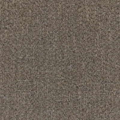 SOHO FOSSIL thumbnail 3