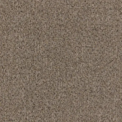 SOHO LLAMA thumbnail 3