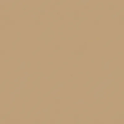 SOLAIRE CAMEL thumbnail 3