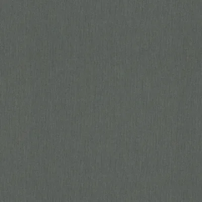 SOLAIRE TURTLE thumbnail 3