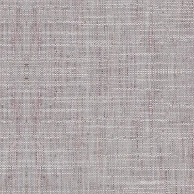 Sorrento Wisteria thumbnail 3