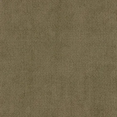 SUAVE OLIVE thumbnail 3