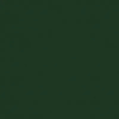 SOLAIRE EVERGREEN thumbnail 3