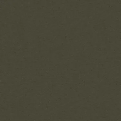 SOLAIRE KELP thumbnail 3