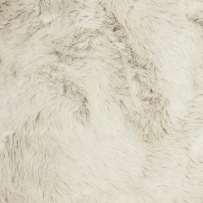 ACCALIA POLAR thumbnail 2