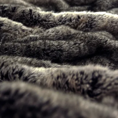 ACCALIA SABLE thumbnail 3