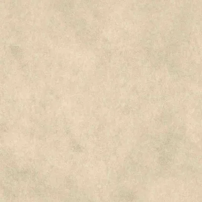 VAQUERO ORYX thumbnail 3