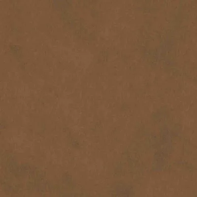 VAQUERO TAN thumbnail 3