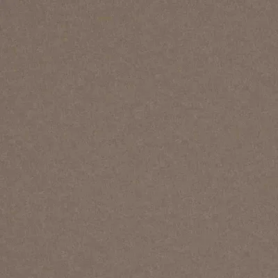 VAQUERO TAUPE thumbnail 3