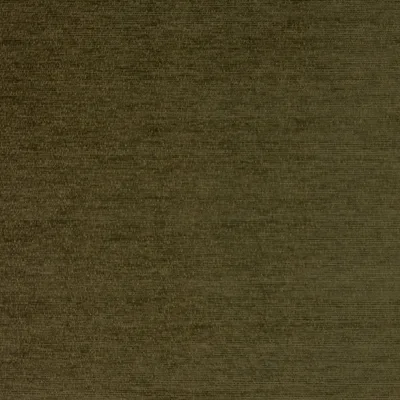 Augusta Olive thumbnail 2