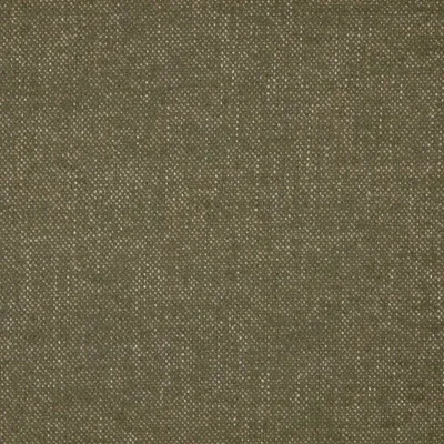 VERONA MOSS thumbnail 3