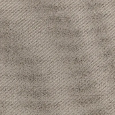 TRIBECA FOSSIL thumbnail 3