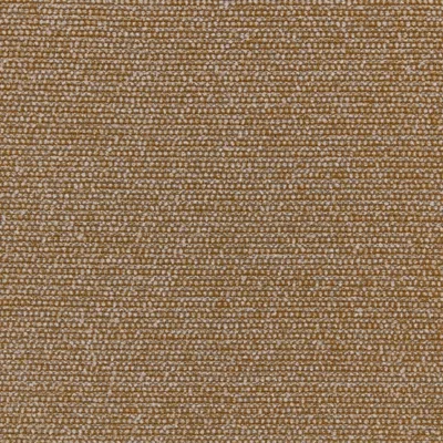 TUFTY CHEETAH thumbnail 3