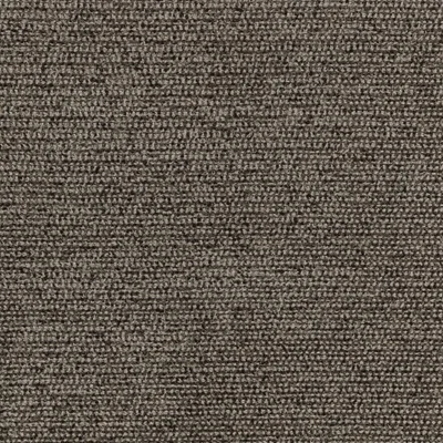 TUFTY RACOON thumbnail 3